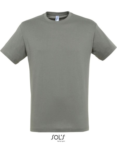 Herren-T-Shirt – Regent – Zink XL