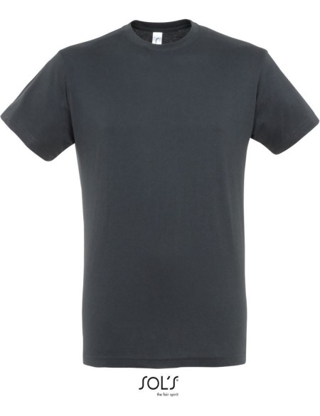 Herren-T-Shirt – Regent – Mausgrau XS