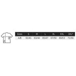 Damen T-Shirt Pioneer - Grau meliert M